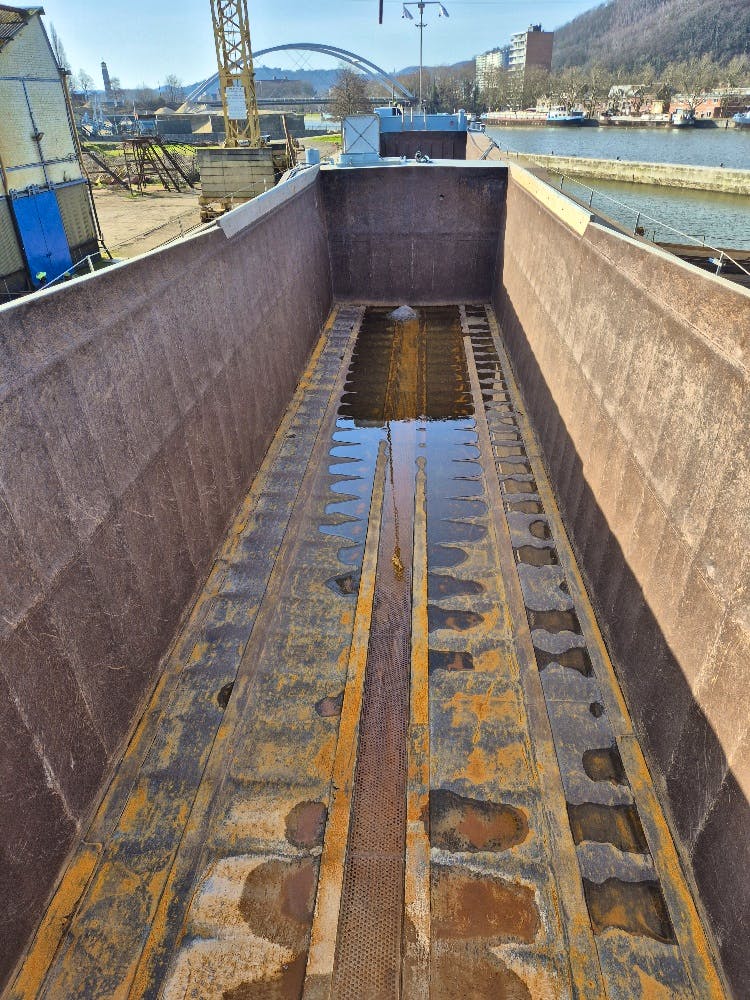 Vita Nova — thumbnail 3